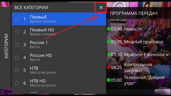 StalkerTV IOS ПросмотрАрхива 5.png