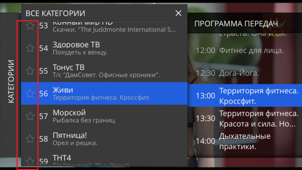 StalkerTV IOS избранное 2.png