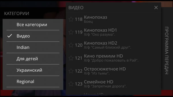 StalkerTV IOS ПросмотрТелеканалов 2.png